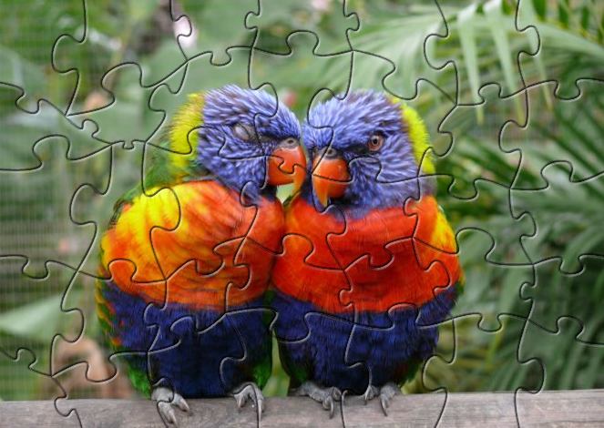 Click to view LSSP Love Bird Puzzle 1.0 screenshot